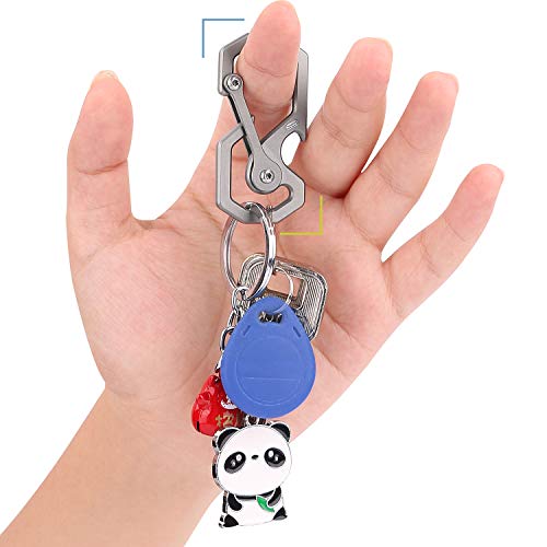 Tibitdeer Titanium Key Chain, Multifunctional Carabiner Keychain Heavy
