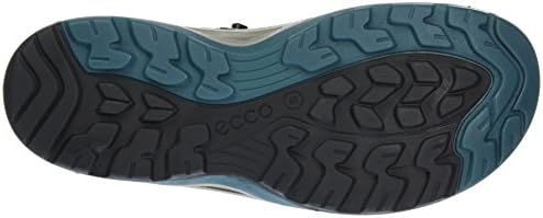 ecco mens biom delta offroad