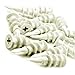 Wideskall® Self Drilling Drywall Nylon Anchors Fit #6 - #8 Fastener Screws (Pack of 120)