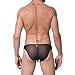 Iooho Men's Sexy Underwear Soft Sheer Transparent Boxer Briefs