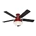 Hunter Fan Company Hunter 59312 52