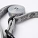 Silver Paw Stark Collar & Leash Set Medium