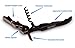 Cork Screw Wine Key Bottle Opener - Double Hinged Lever, Serrated Foil Cutter and Bottle Opener - Professional Waiters Friend
