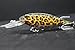 wLure Minnow Crankbait for Bass Fishing Bass Lure Jerkbait Fishing Lures and Tackle Box