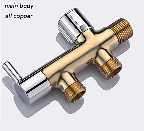 WYYSYNXB Multi-Layer Plating Bath Shower Main Body All Copper Tap Bathroom Toilet Pressurized Spray Gun Flusher Silver