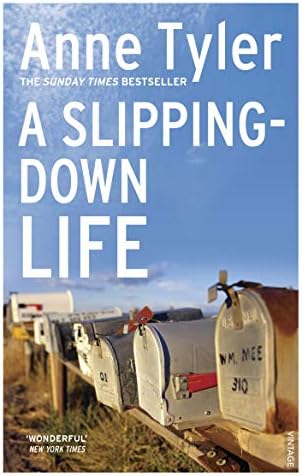 A Slipping Down Life