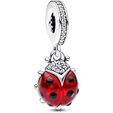 Qulmlxis 925 Sterling Silver Charms Bead Compatible for Bracelets and Necklaces, DIY Jewelry for Women, Red Ladybug