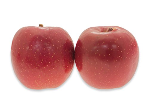 固いときでも大丈夫 アボカドを柔らかくする方法と救済レシピ Macaroni