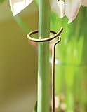 Adjustable Amaryllis Stake
