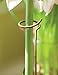 Adjustable Amaryllis Stake