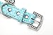 BINPET BA2028 Designer Polka Dots Leather Pet Puppy Dog Collar with Jeweled Heart Pendant Charms and Durable Metal Buckle, Blue X Small