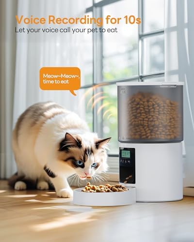 Futterautomat Katze Katzenfutter Automat mit Timer: Futternapf mit Automatic Futterautomat 4L - 10s-Ruf zum Essen - Trockenfutter Futterspender Automatisch für Katze und Hund Weiß