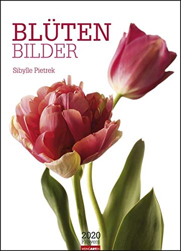 Blütenbilder - Kalender 2020 by