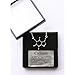 Pewter Caffeine Molecule Cast Necklace Gift Packaged in a Glass Topped Box with informational Card
