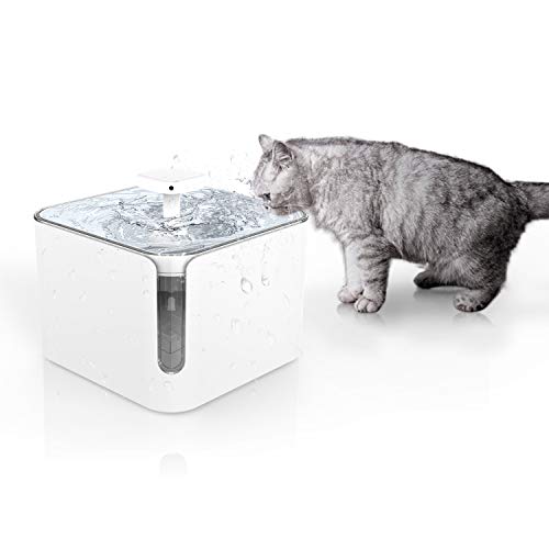 Apexto Pet Drinking Water Fountain, Automatic Pet Water Dispenser