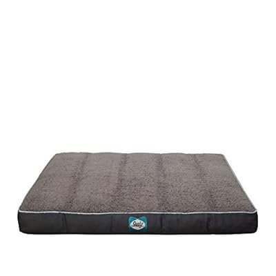 sealy memory foam dog bed