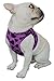 Lanyarco Purple Lovely Heart Print Fleece Padded Soft Dog Harness Safe Harness Winter Pet Harnesses for Small Dogs,Medium Size
