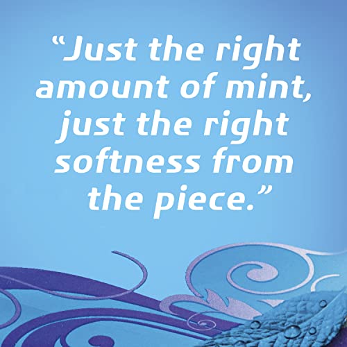 DENTYNE PURE MINT WITH HERBAL ACCENTS SUGAR FREE GUM, 10 PACKS OF 9 PIECES (90 TOTAL PIECES)