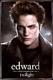 Twilight Edward Poster Print 24x36 Collections Poster Print, 24x36 Poster Print, 24x36