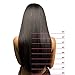 Real Remy Clip In Hair Extensions Dark Brown 12