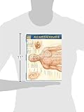 Image de Acupressure (Quick Study Academic Outline)
