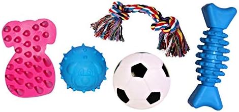 JAINSONS PET PRODUCTS Dog and Puppy Rubber Squeaky Ball and Cotton Bone Chew Toy (Multicolour)