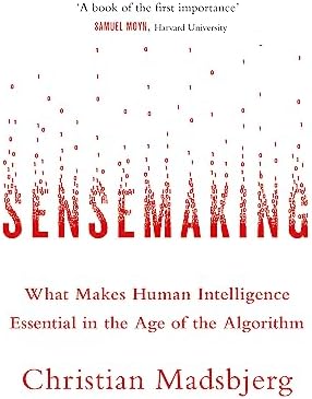 Sensemaking in Organizations (Foundations for Organizational