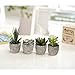 MyGift Faux Succulent Plants, Assorted Decorative Artificial Succulent Plants with Gray Pots, Set of 4