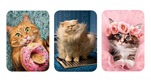 Just For Laughs Pocket Puzzles - Avanti Mini Jigsaw Puzzle - 3-Pack - Donut Cat, Air Vent Kitty, Ballerina Tutu Kitten