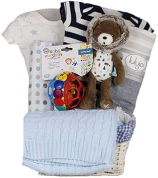 amazon baby boy gift basket