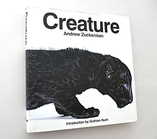 Amazon.com: Bird: 9780811870986: Zuckerman, Andrew: Books