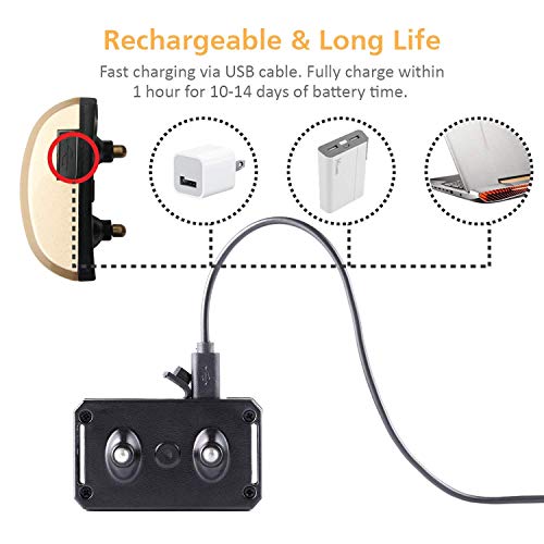 regirock bark collar