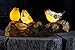 VP Home Birds on a Log Solar Powered LED Outdoor Decor Garden Light Great Addition for Your Garden, Solar Powered Light Garden, Gifts for Outside Patio Lawn