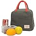 Tote Freezable Lunch Bag for Women, Lunch Box Insulated Lunch Container for Work, School and Picnic