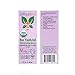 Bee Youth-full Rejuvenating Anti Aging Serum - Face Oil - Reduce Wrinkles Fine-Lines - Age Spot Remover for Face - USDA Approved - Organic - Vegan - Cruelty-Free - Non-GMO - Paraben-Free
