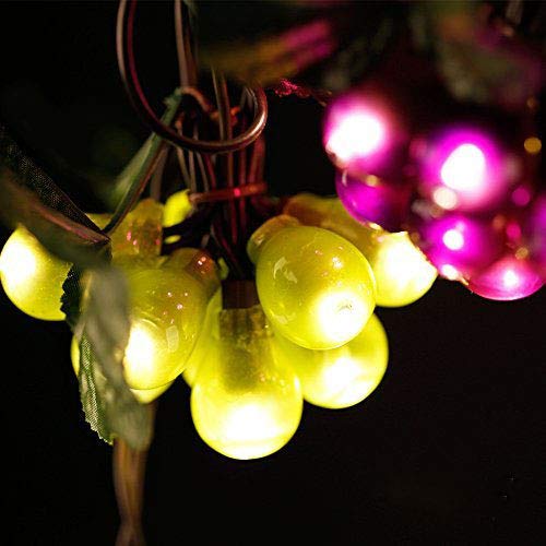 LIDORE 100 LED Purple&Green Grape String Lights. Grapevine Lights with 10 Cluster-UL Listed