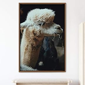 signwin Framed Canvas Wall Art Llama Animals Camels...