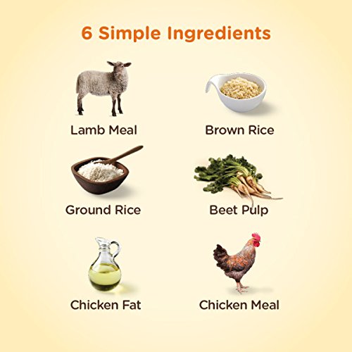 Rachael Ray Nutrish Just 6 Natural Dry Dog Food, Limited Ingredient