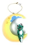 MS Tropical Moon Frog Christmas Tree Ornament, Handmade in Bali