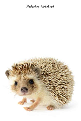 Hedgehog Notebook: Hedgehog notebook blank pages - Journal to write in - 120 pages - 6"x9"