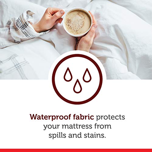 AllerEase AllerEase Allergy Protection Bed Kit, Twin XL, White 2 Count Pricepulse