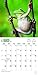 Frogs 2017 Calendar