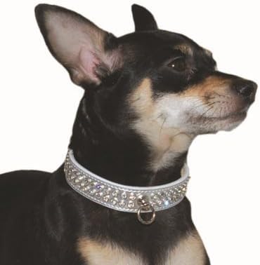 DD Design Celebrity Rhinestone Dog Collar, X-Small, Silver