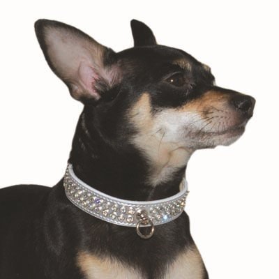 DD Design Celebrity Rhinestone Dog Collar, X-Small, Silver