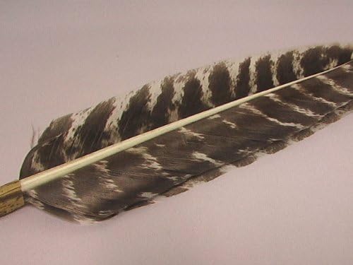 Amazon Co Jp 茶道具 羽箒 はぼうき 炉用 唐国鳥 ホーム キッチン