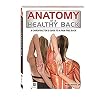 anatomy of a healthy back,