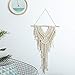Ricdecor Dream Catcher Wall Hanging Car Hanging Decoration Ornament (White)