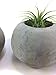 ORB Concrete Succulent Planters / Air Plant Holders. (Set of 3) Natural Gray.