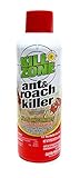 K. Kill Zone Ant & Roach Killer