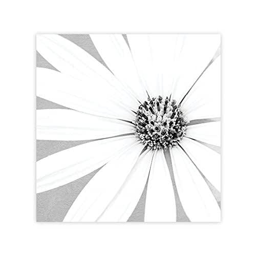 27+ Daisy Wall Art Decor Pictures Wall Art Design Idea